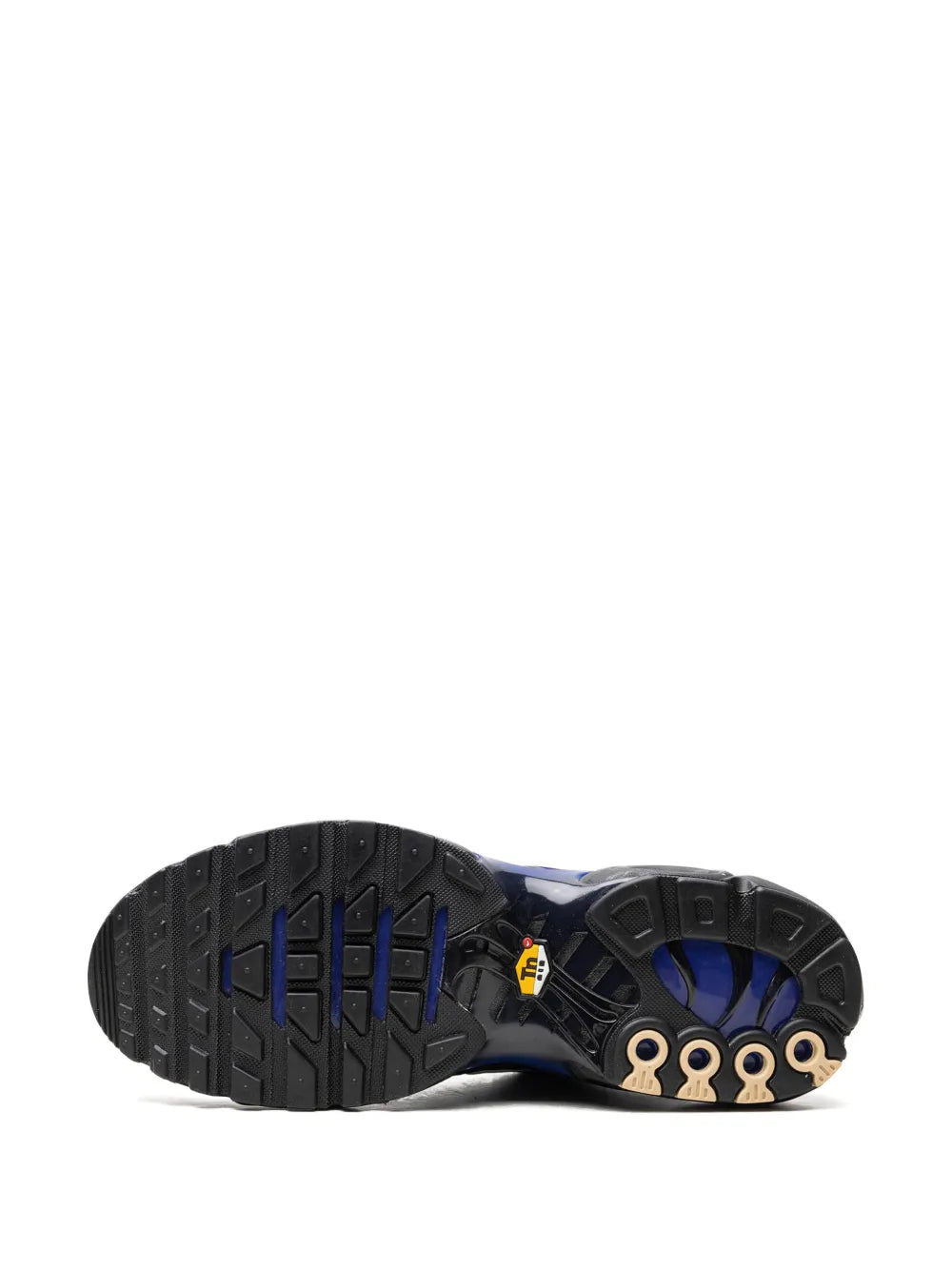 Air Max Plus Black Sneakers